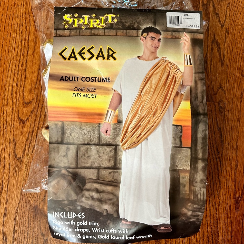 Men’s Caesar Costume - image 1